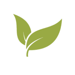 Tech Lead & Senior Software Engineer